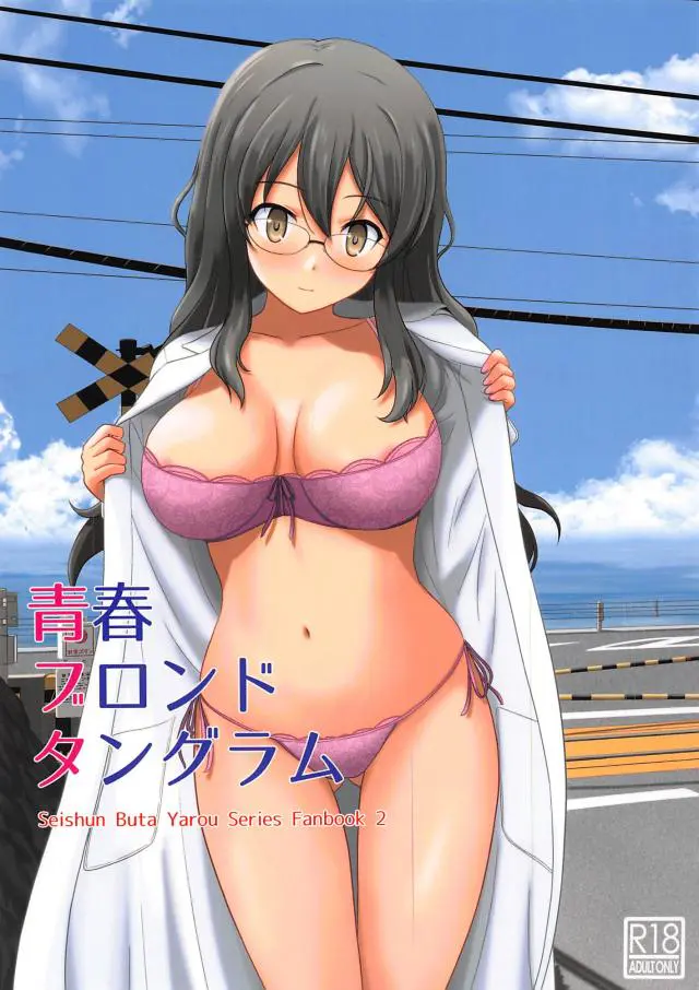 【エロ同人誌・C96】メガネでクールな巨乳双葉ちゃんが浮気セックスをしてほしいと一生に一度のお願いｗ梓川のちんこを手コキしたりディープキスｗ手マンやクンニされ自分もイカせてもらったらお風呂でバックからの生挿入や騎乗位しちゃう【青春ブタ野郎はバニーガール先輩の夢を見ない】