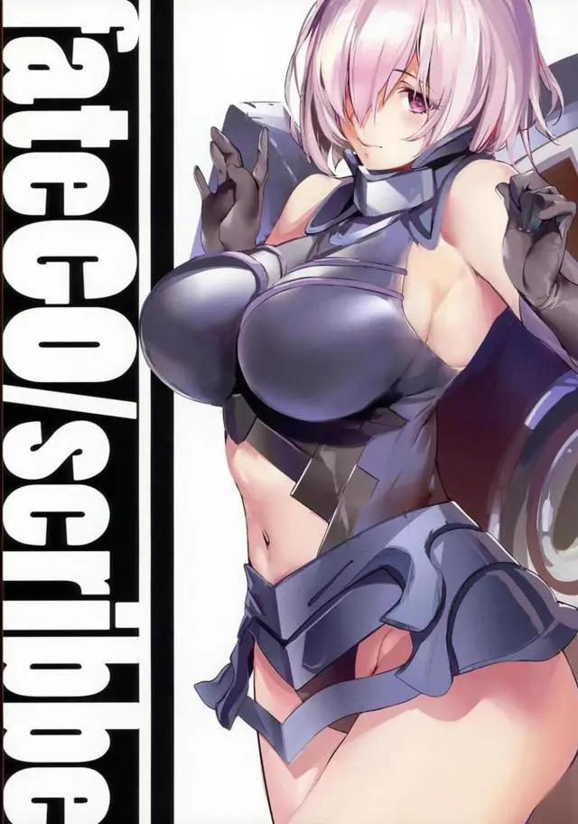 【エロ同人誌】[C94]水着姿のネロや頼光ママがその巨乳を露わにしエッチな水着姿を披露するのでオナニーが捗りそうなイラスト集【Fate(フェイト)】